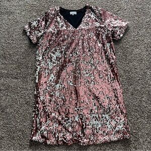 Universal Standard For J. Crew Sequin Shift Dress